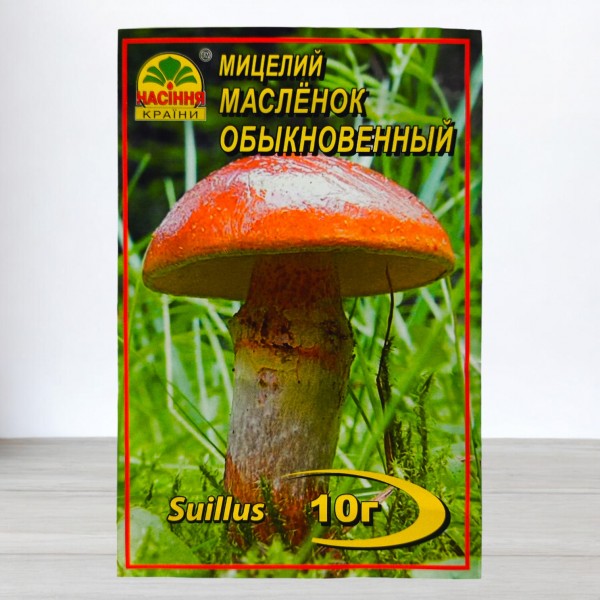 Мицелий гриба Масленок обыкновенный, 10г